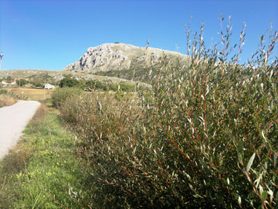capo la serra