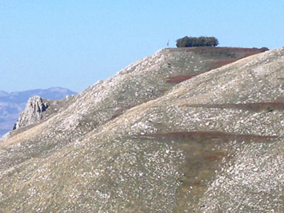 le castagne di "palacina", ovvero il ciuffo su capo la serra